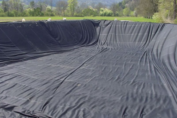 Geomembrane
