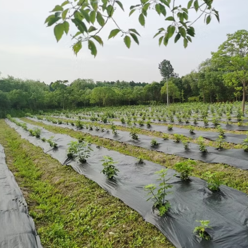 What are the Benefits of Using Geotextile Landscape Fabric