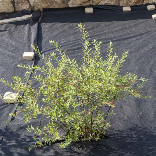 What Are the Different Types of Geotextile Fabric