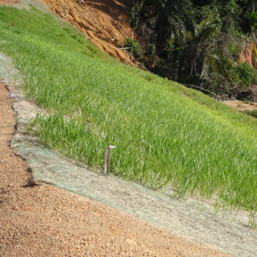 An Armory of Supra-Benefits with Straw Erosion Control Blankets
