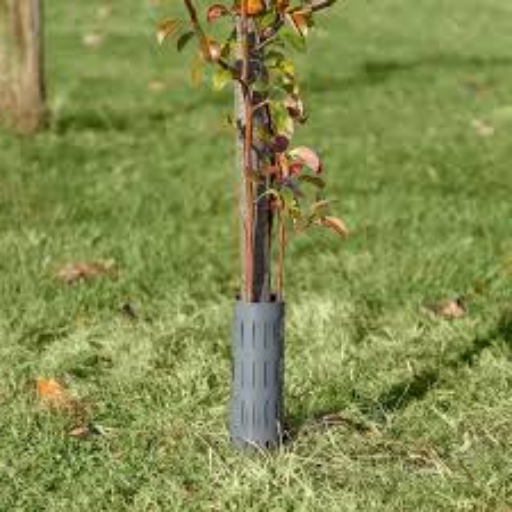 Application Techniques for Tree Wraps
