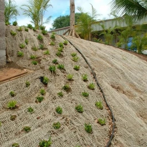 Benefits of Jute Mesh for Erosion Control
