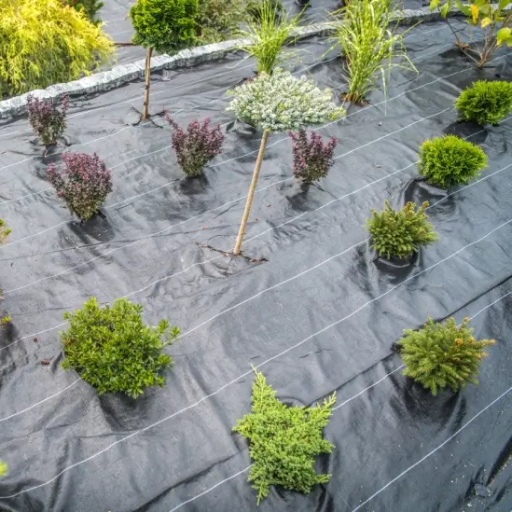 Best Weed Barrier Landscape Fabric: Weed Control Reviewed