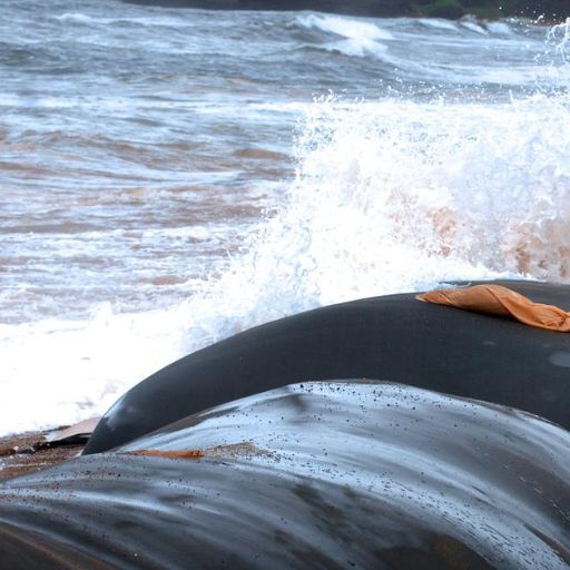 Cost-Effectiveness of Geotextile Tubes