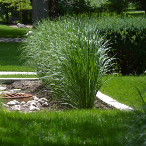 Deeper Insight Into Green Stormwater Infrastructure