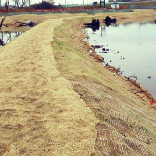 Environmental Impact of Straw Erosion Control