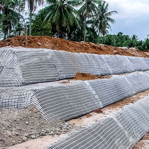Geosynthetic Reinforcement: Soil and Retaining Wall Applications
