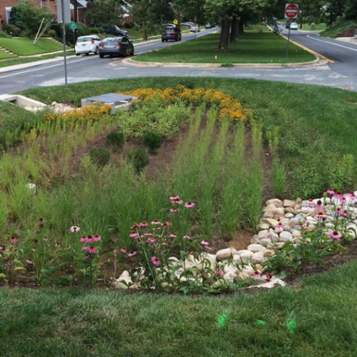 Green Stormwater Infrastructure (GSI)