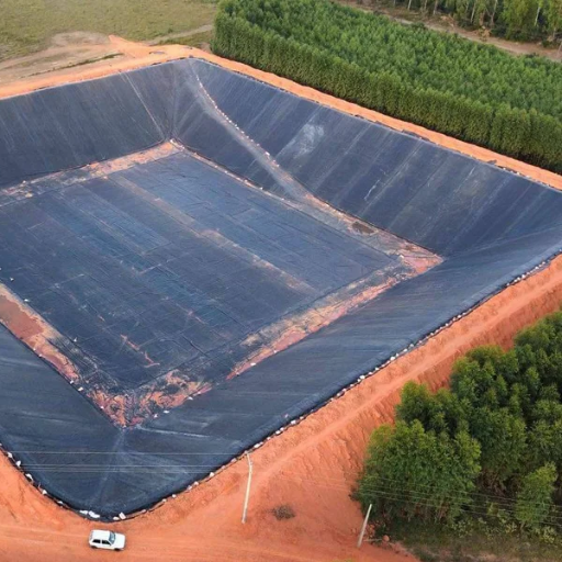 In the World of Pond Liners
