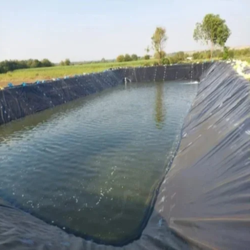 Major Differences Between HDPE and LDPE Pond Liners