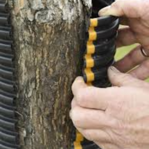 Popular Tree Wrap Offers from Amazon
