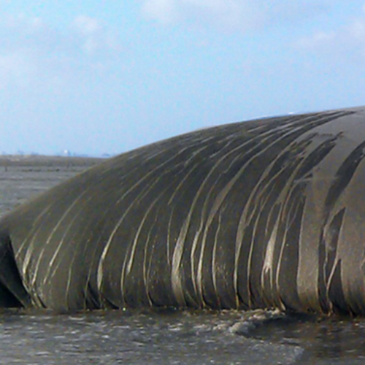 Practical Applications of Geotextile Tubes