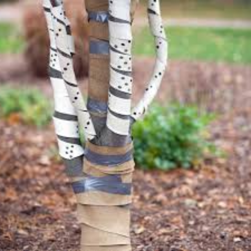 Types of Tree Wraps