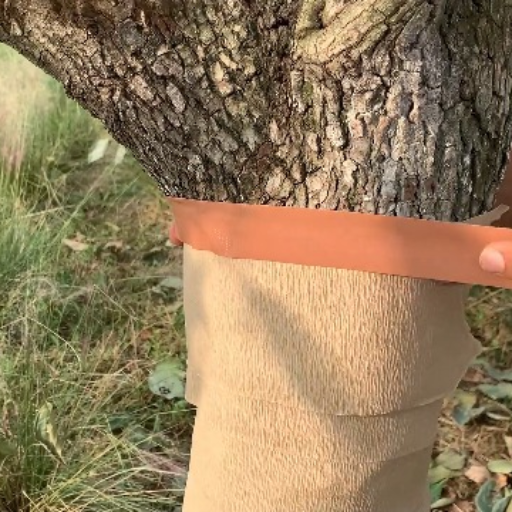 What Tree Wraps Are