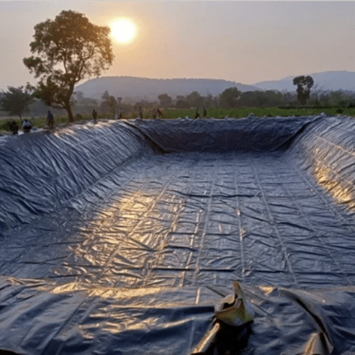 Challenges and Considerations