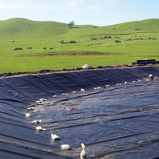 What is a Geomembrane Liner?