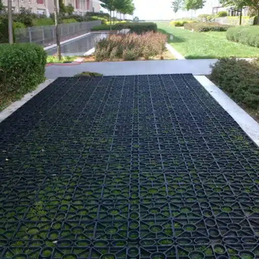 A Comprehensive Overview of Grass Parking Solutions