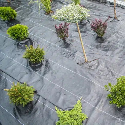Best Landscape Fabric for Weed Control: Garden & Weed Barrier