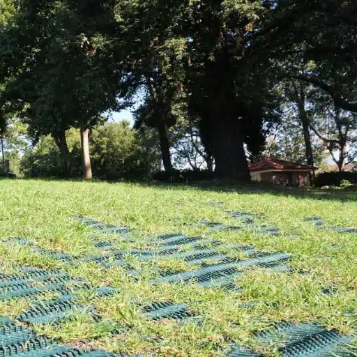 Best Practices for Grass Parking