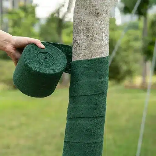 Best Practices for Maintaining Healthy Trees