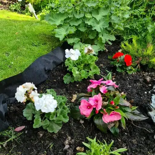 Best Weed Barrier Landscape Fabric: Heavy Duty Weed Control