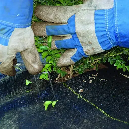 Best Weed Barrier Landscape Fabric: Weed Control Guide