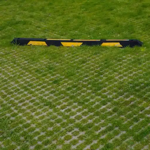 Grass Parking Solutions: Pavers for Lawn Car Parking