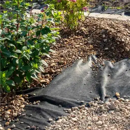 How to Choose Your Weed Barrier for Landscaping