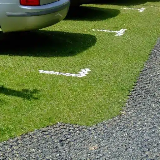Innovative Solutions for Grass Parking