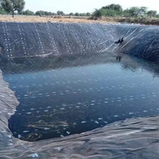 Key Benefits of Using Geomembranes