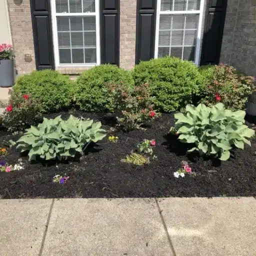 Maintenance Advice for Long-Lasting Weed Control