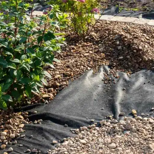 The Importance of Weed Control in Rock Gardens