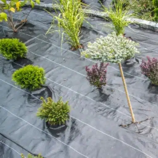 Top Factors to Consider When Choosing Landscape Fabric