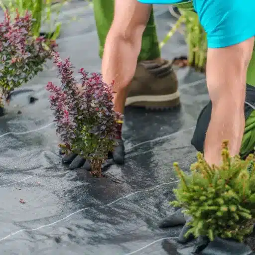 Types of Landscape Fabrics