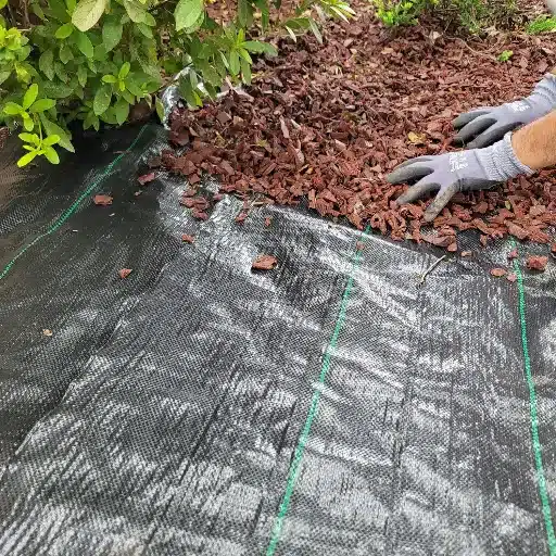 Understanding Weed Barriers