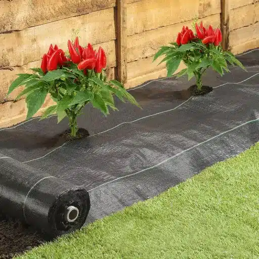 Understanding Weed Barriers: Types and Materials