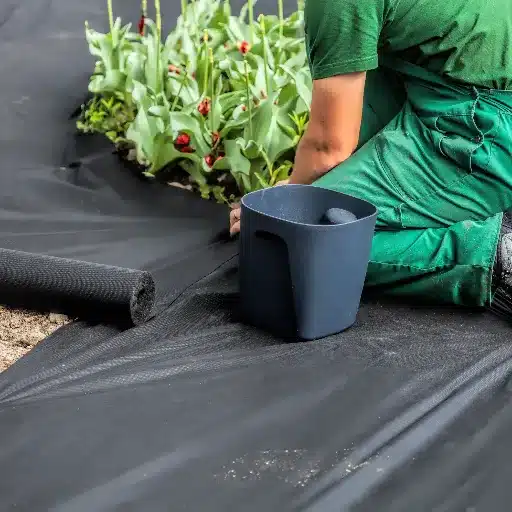 Benefits of Using a Weed Barrier