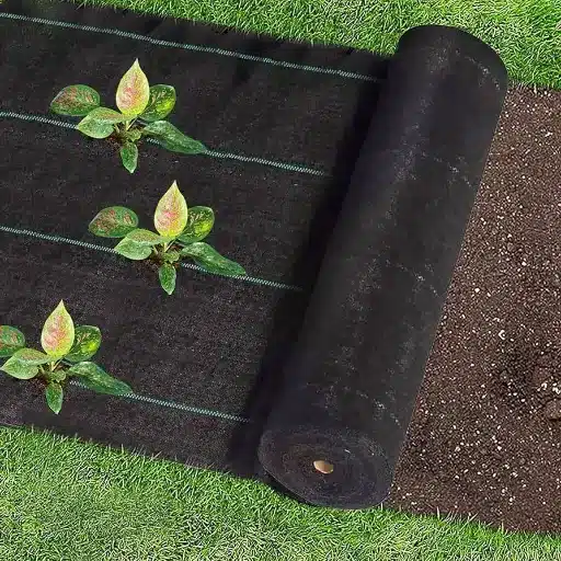 Best Weed Barrier Fabric for Your Garden & Landscape