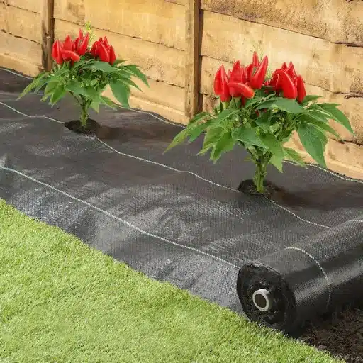 How to Choose the Right Weed Barrier for Your Garden