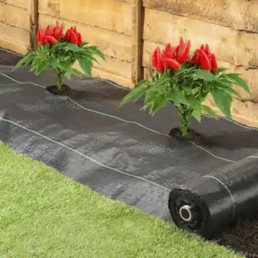 Important Aspects of Weed Barrier Fabrics that Need to be Considered