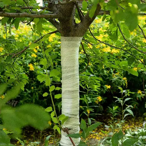 Maintaining Tree Health in Urban Environments