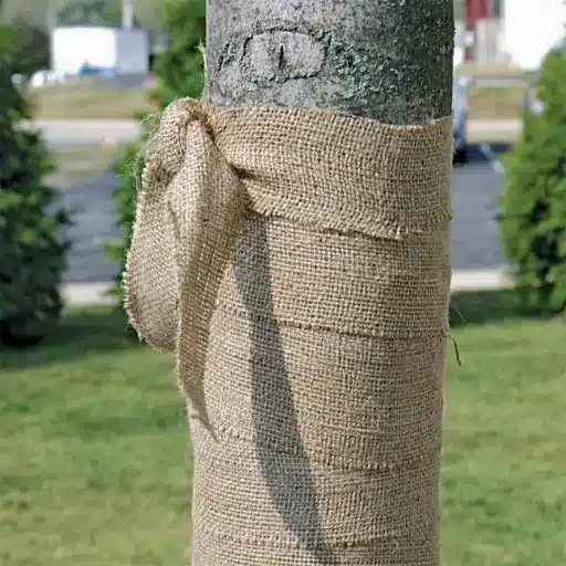 Types of Tree Wraps Available