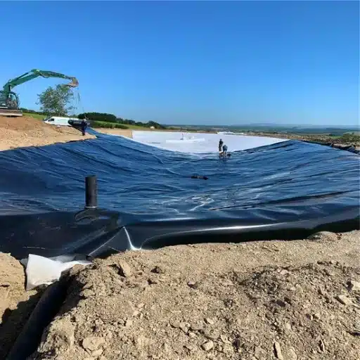 Case Studies and Success Stories