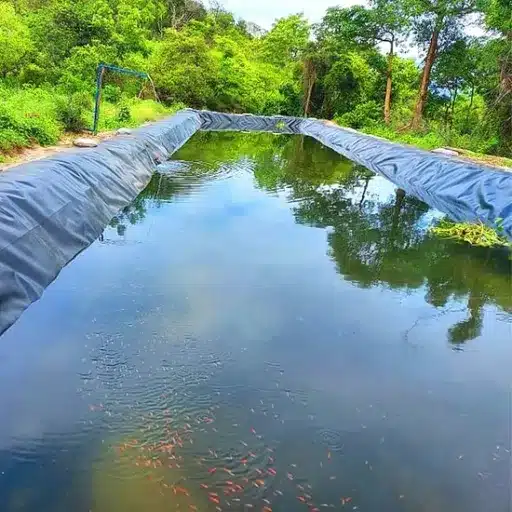 Choosing the Right Pond Liner Material