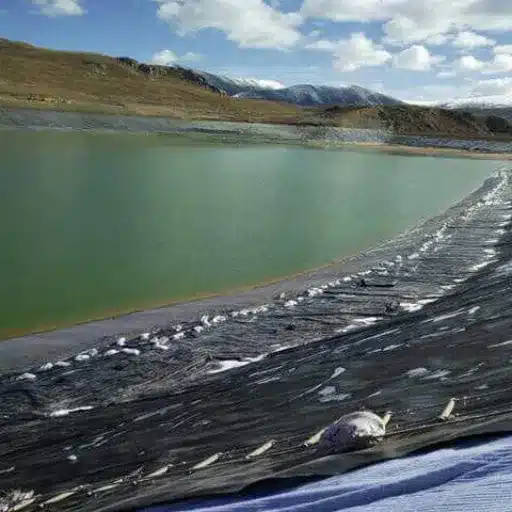 Installation Process and Best Practices