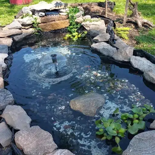 Maintenance and Longevity Considerations