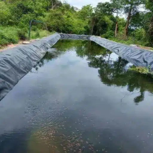 Overview of Pond Liners