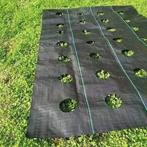 Top Factors to Consider When Choosing a Weed Barrier
