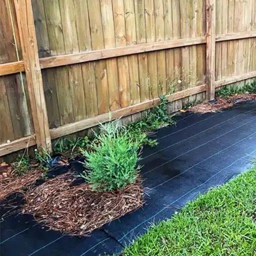 Understanding Weed Barriers