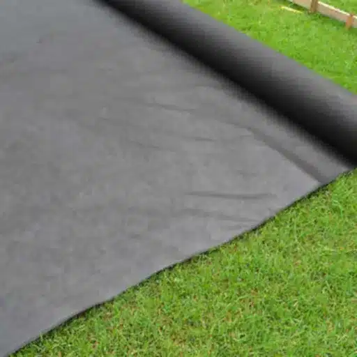 Case Studies and Real-World Applications